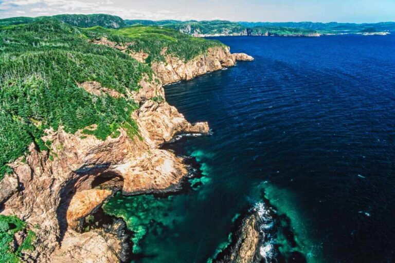 Mysterious White Blobs Wash Ashore In Newfoundland, Baffling Locals And ...