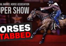Horses Attacked at NBHA Vegas Super Show
