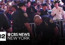 NYPD officer punched after Knicks watch party, police say