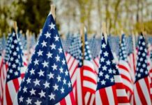Fourth Of July Clash: Flags Ordered Down Field of American flags waving in the breeze
