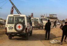 Red Cross vehicles drive through a dusty street with damaged buildings