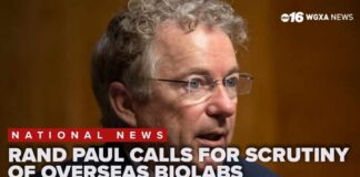 Rand Paul calls for new scrutiny of overseas biolabs after Gabbard declassifies documents