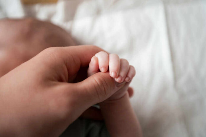 A close-up of a babys hand being held by an adult hand